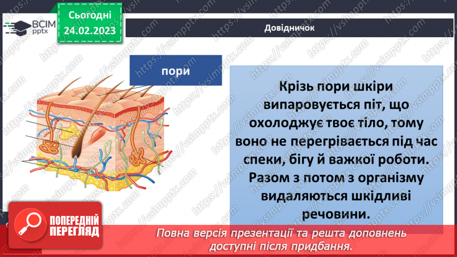 №50 - Із чого складається організм людини. Клітини, внутрішні органи та шкіра.16