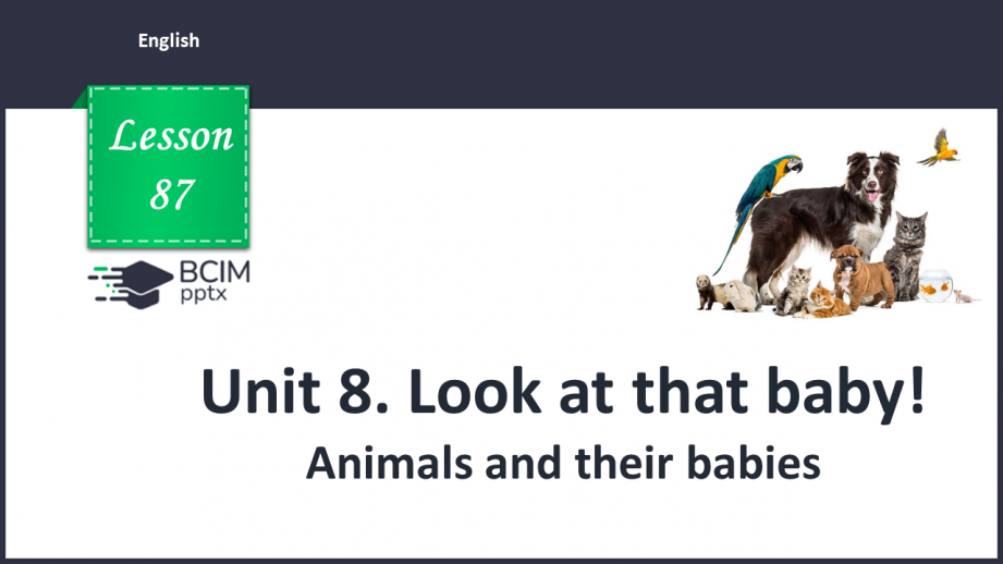 №087 - Unit 8. Look at that baby! Animals and their babies.0 №087 - Unit 8. Look at that baby! Animals and their babies.0