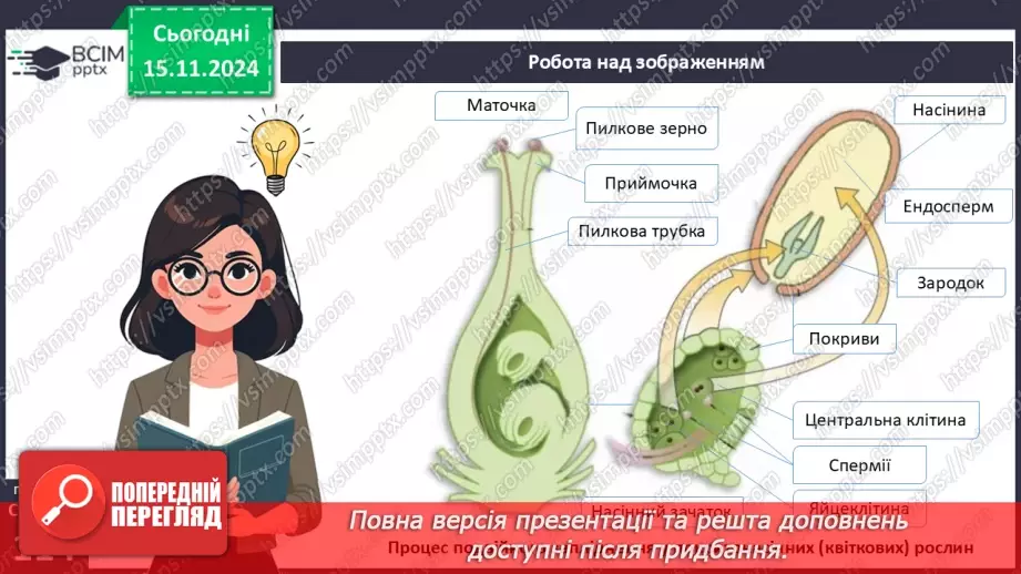 №34 - Які особливості процесів запилення та запліднення у квіткових рослин?16