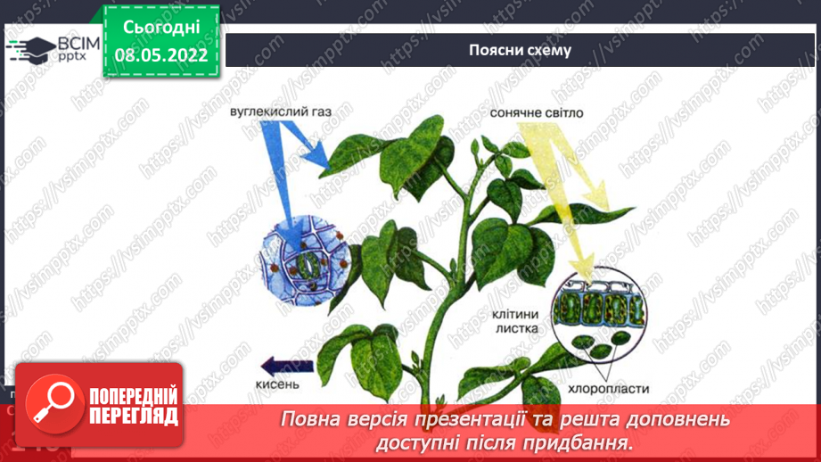 №100 - Чому ліси вважають оберегами природи?12