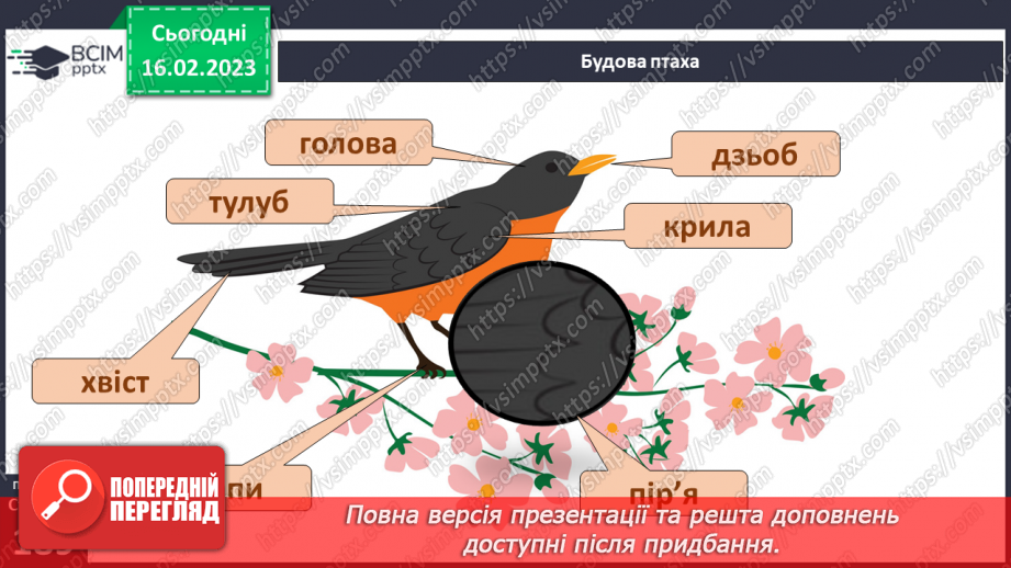№48 - Хребетні тварини. Будова та спосіб життя хребетних тварин. Практична робота.22