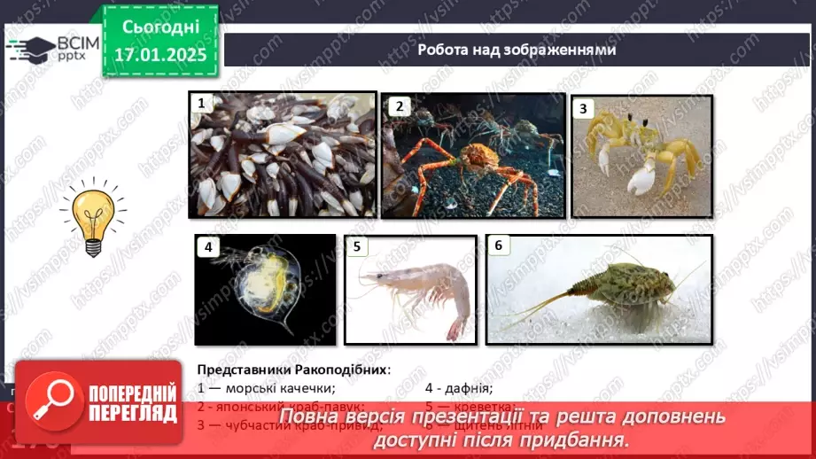 №54 - Членистоногі. Ракоподібні.12 №54 - Членистоногі. Ракоподібні.12