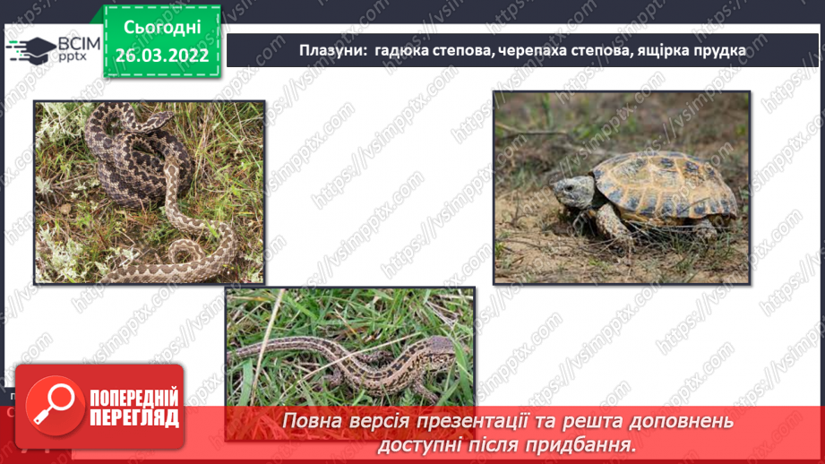 №080 - Лісостеп. Степ14 №080 - Лісостеп. Степ14