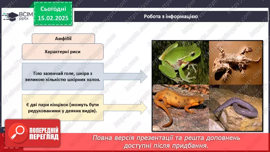 №61 - Амфібії та Рептилії.11