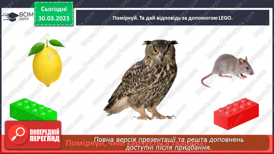 №0088 - Тварини рідного краю24 №0088 - Тварини рідного краю24
