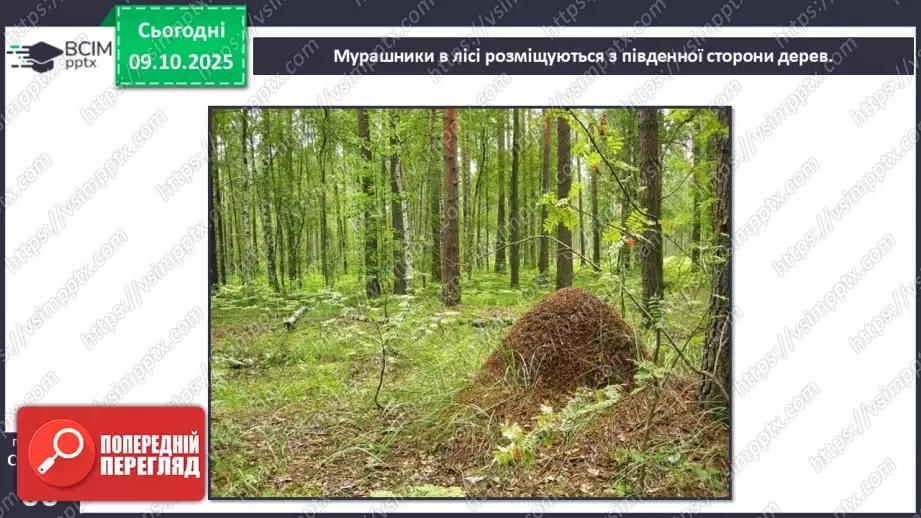 №0023 - Орієнтування на місцевості за допомогою Сонця та місцевих ознак.12 №0023 - Орієнтування на місцевості за допомогою Сонця та місцевих ознак.12