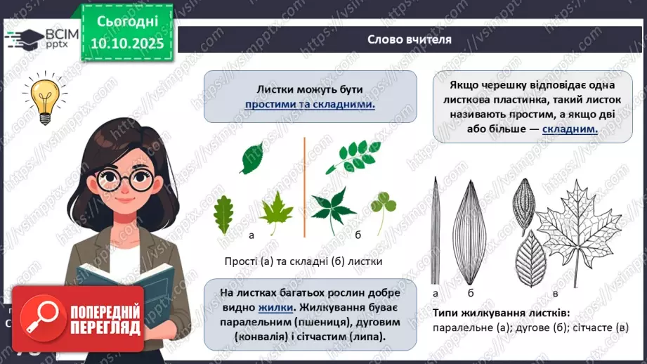 №023 - Покритонасінні рослини: будова бруньки, пагона й листка (продовження).15 №023 - Покритонасінні рослини: будова бруньки, пагона й листка (продовження).15