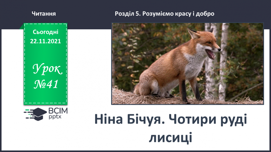 №041 - Ніна Бічуя. Чотири руді лисиці0