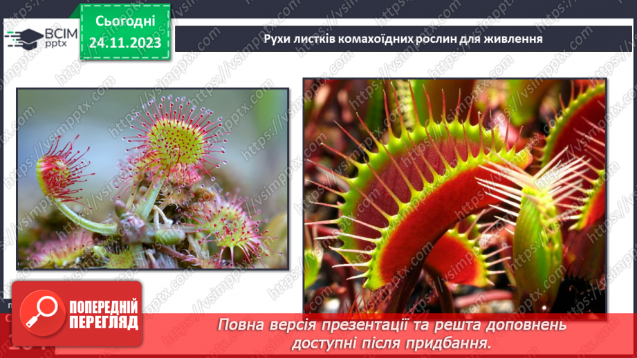 №28 - Чи можливе життя без руху. Різноманітність рухів рослин. Види руху тварин.13