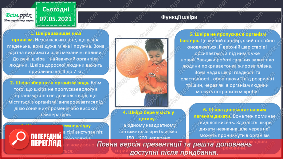 №050 - Яка роль шкіри в організмі людини13 №050 - Яка роль шкіри в організмі людини13