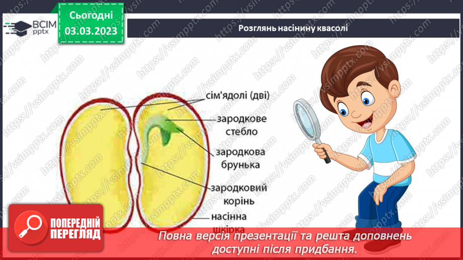 №51 - Узагальнення розділу «Клітини, бактерії, віруси, гриби, рослини і тварини».21