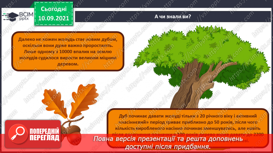 №04 - Створення поробки з природних матеріалів за зразком чи власним задумом.12