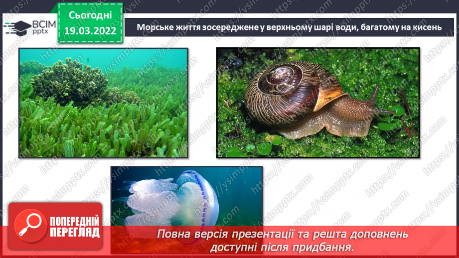 №076 - Водойми України15 №076 - Водойми України15