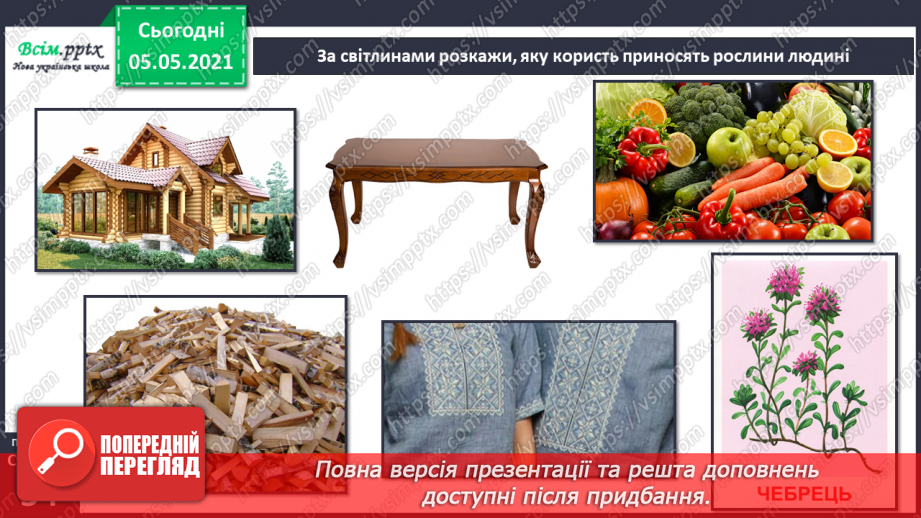 №031 - Організми, які тебе оточують.26