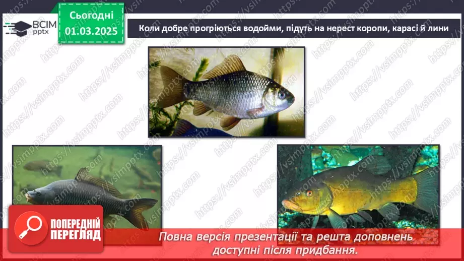 №0073 - Як змінюється життя у водоймах навесні10 №0073 - Як змінюється життя у водоймах навесні10