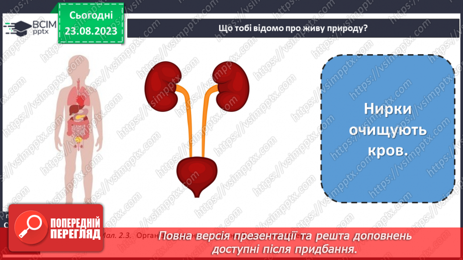 №02 - Природні явища і об’єкти.23