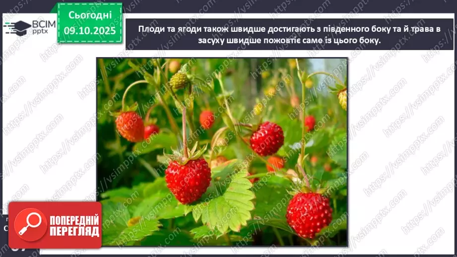 №0023 - Орієнтування на місцевості за допомогою Сонця та місцевих ознак.14 №0023 - Орієнтування на місцевості за допомогою Сонця та місцевих ознак.14
