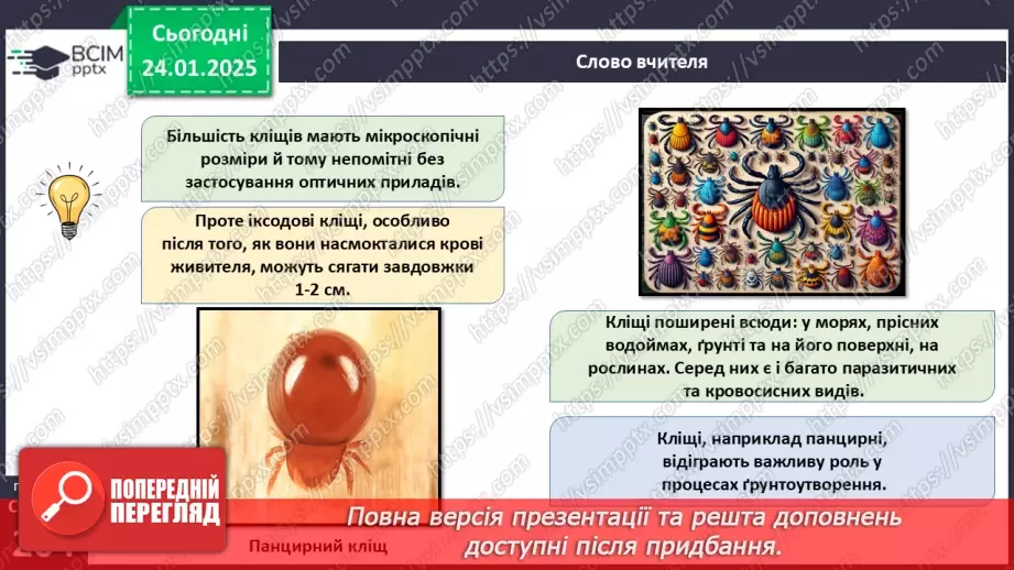 №58 - Павукоподібні.18