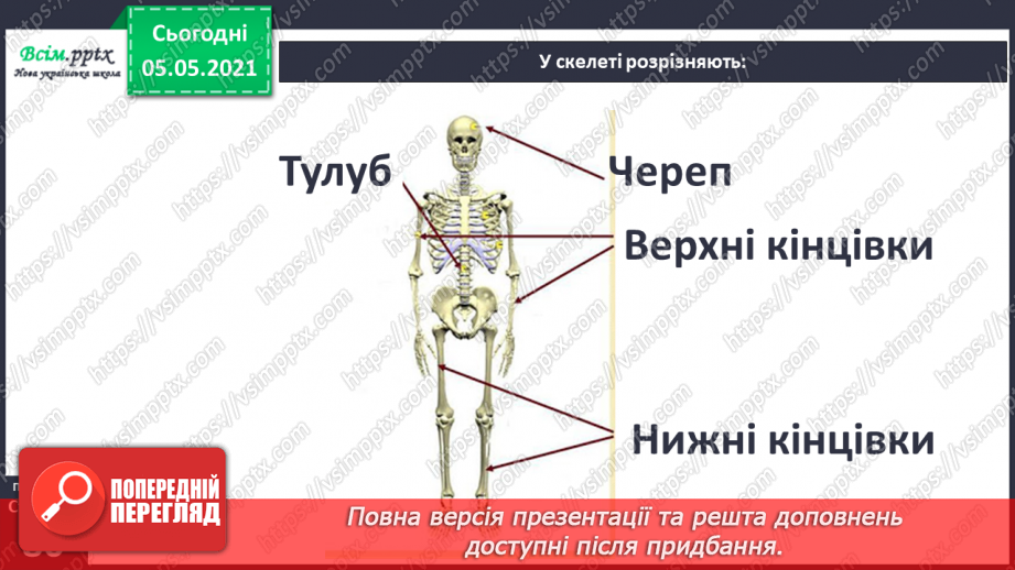 №057-58 - Скелет — опора тіла.10 №057-58 - Скелет — опора тіла.10