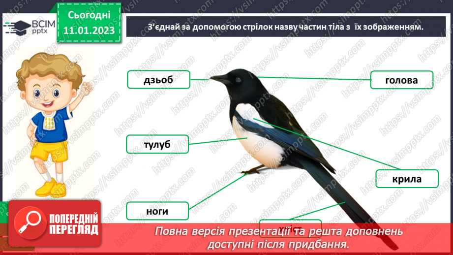№0057 - Птахи24