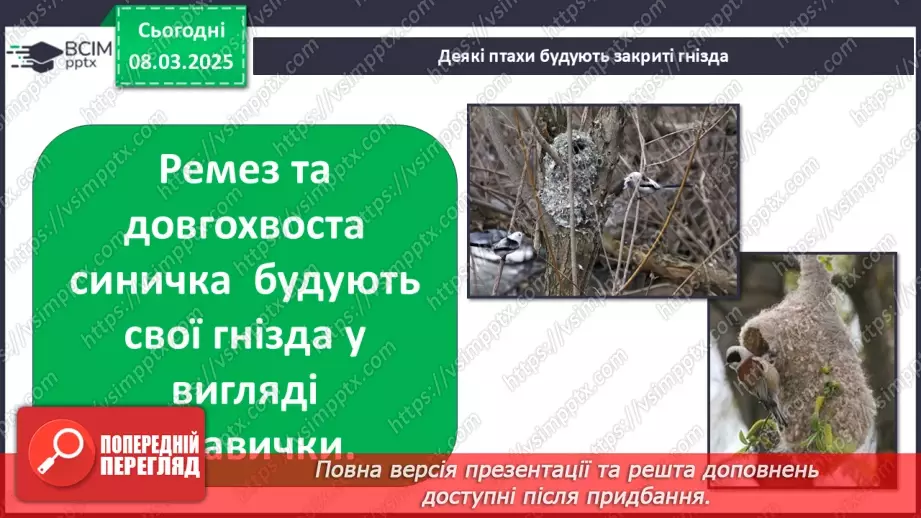 №0076 - Чому птахи в’ють гнізда17 №0076 - Чому птахи в’ють гнізда17