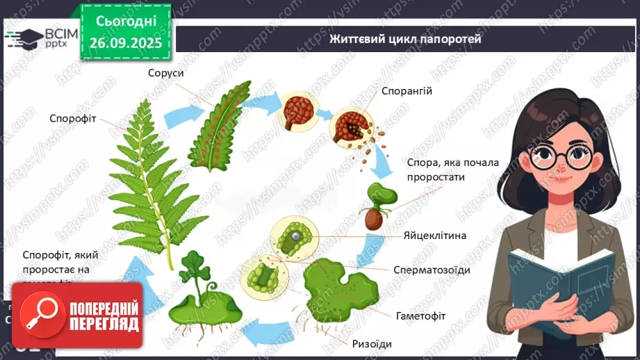 №018 - Вищі спорові рослини: папороті та хвощі. Їхнє значення в екосистемах і використання.12 №018 - Вищі спорові рослини: папороті та хвощі. Їхнє значення в екосистемах і використання.12
