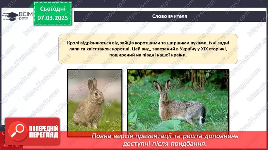 №68 - Різноманітність ссавців. Першозвірі. Сумчасті.  Комахоїдні. Рукокрилі. Гризуни.21