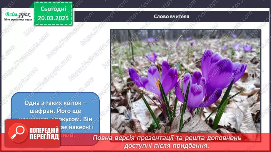 №28 - Квіткові фантазії8 №28 - Квіткові фантазії8