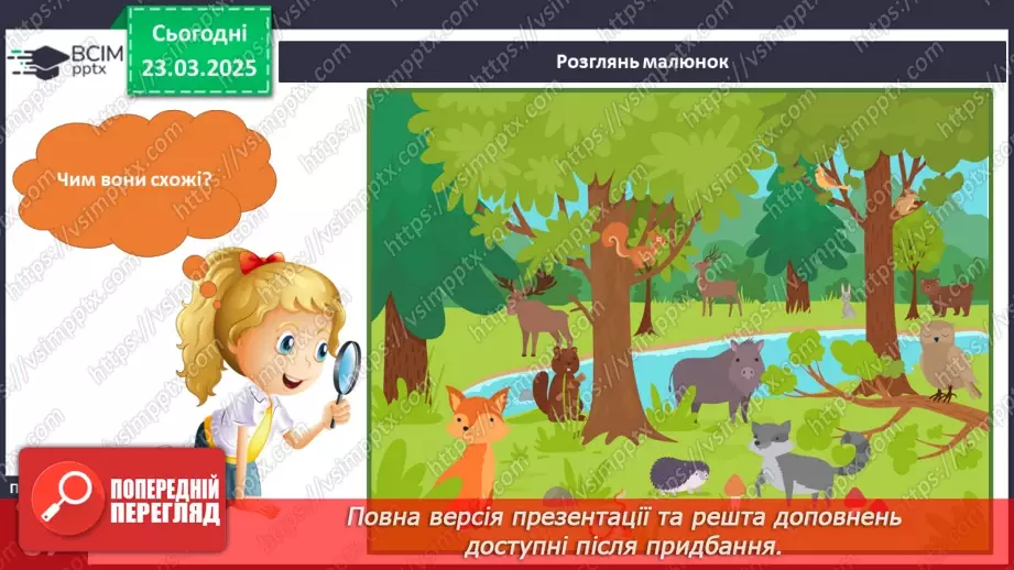 №082 - У світі тварин. Дорослі та дитинчата. Стадії розвитку тварин.8 №082 - У світі тварин. Дорослі та дитинчата. Стадії розвитку тварин.8