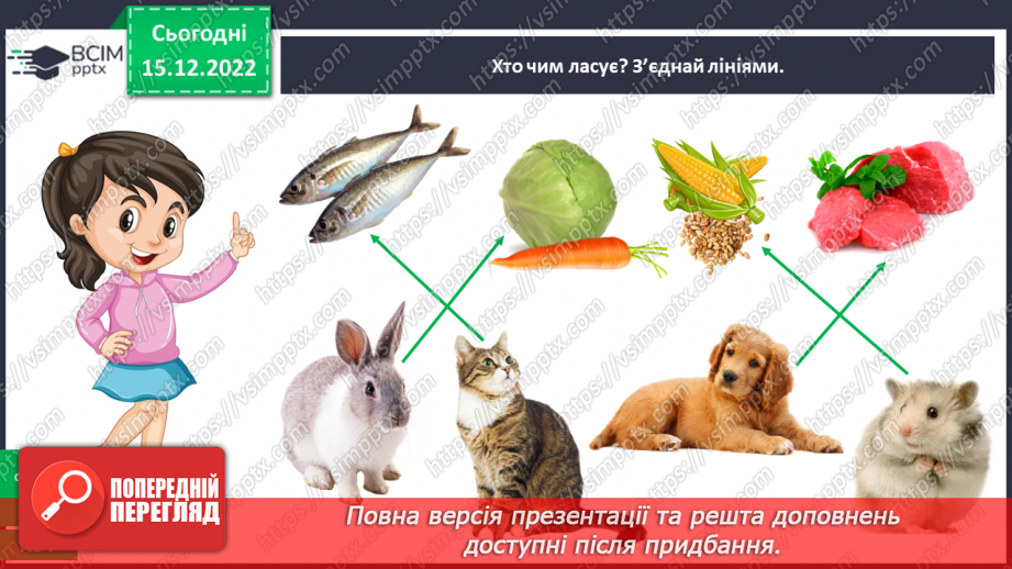 №0054 - Різноманітність тварин. Дикі та свійські тварини26 №0054 - Різноманітність тварин. Дикі та свійські тварини26