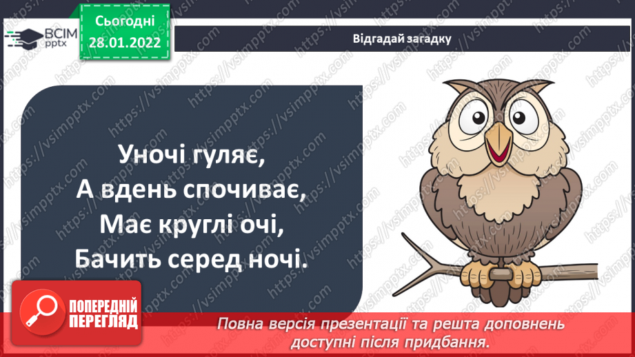 №061 - Як невидиме може стати видимим? досліджуємо разом. Спостереження за пташками15