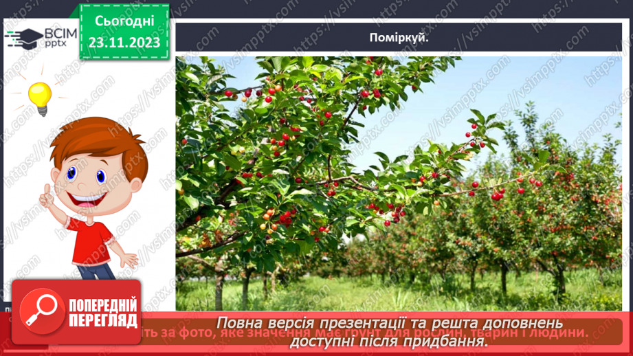 №042 - Значення ґрунту для живої природи .8 №042 - Значення ґрунту для живої природи .8