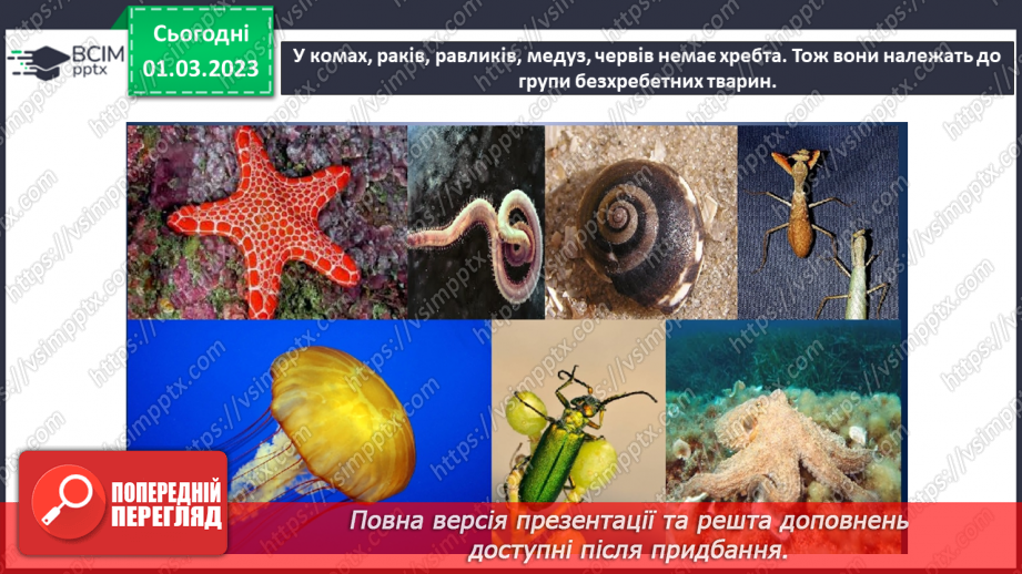 №076 - Хребетні та безхребетні тварини. Множини тварин.10