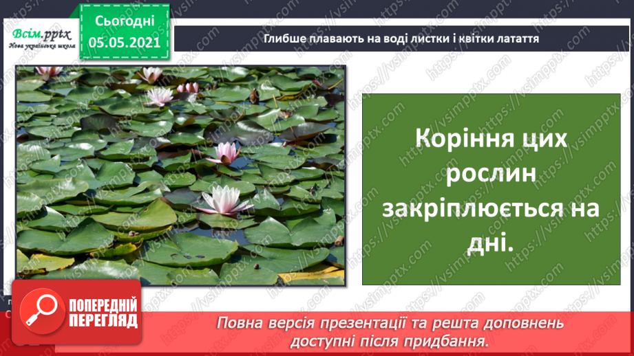 №052 - Природне угруповання — прісна водойма.14