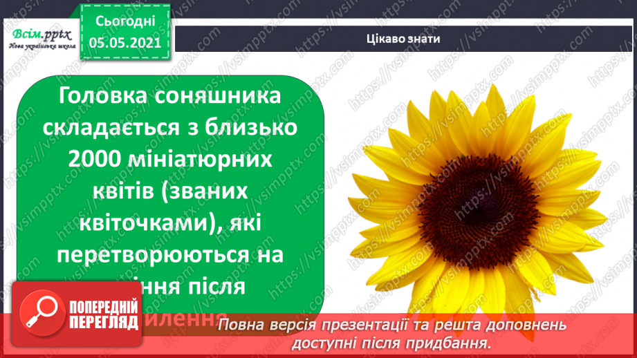 №035 - Сторінка дослідників. Як виростити нову рослину. Умови проростання насіння27 №035 - Сторінка дослідників. Як виростити нову рослину. Умови проростання насіння27