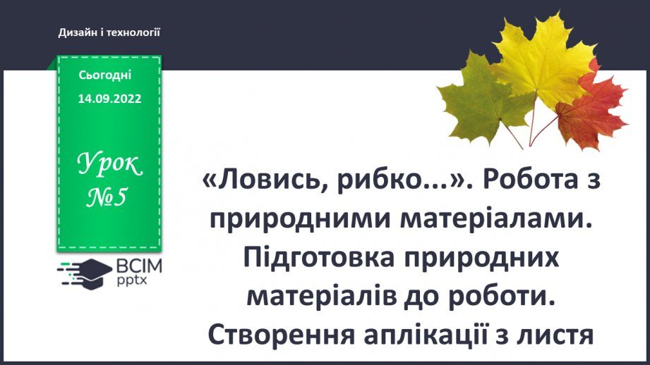 №05 - «Ловись, рибко...». Робота з природними матеріала¬ми. Підготовка природних матеріалів до роботи. Створення аплікації з листя.0