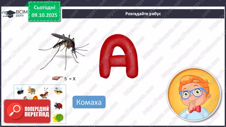 №024 - Комахи та звірі Кенії8 №024 - Комахи та звірі Кенії8