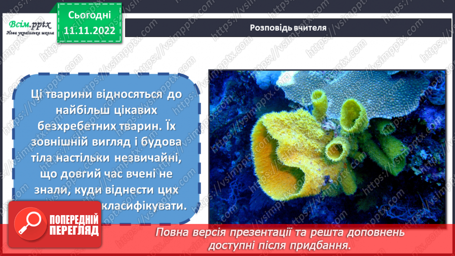 №13 - Черви, жалкі, голкошкірі та губки. Виготовляємо обкладинку інтерактивного зошита «Царство тварин».5