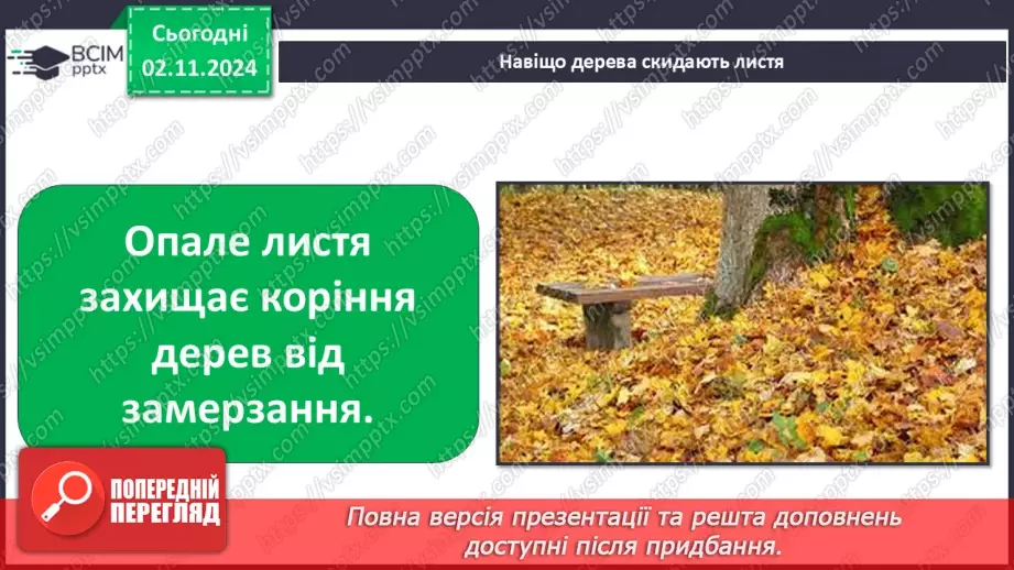 №0032 - Як рослини готуються до зими11 №0032 - Як рослини готуються до зими11