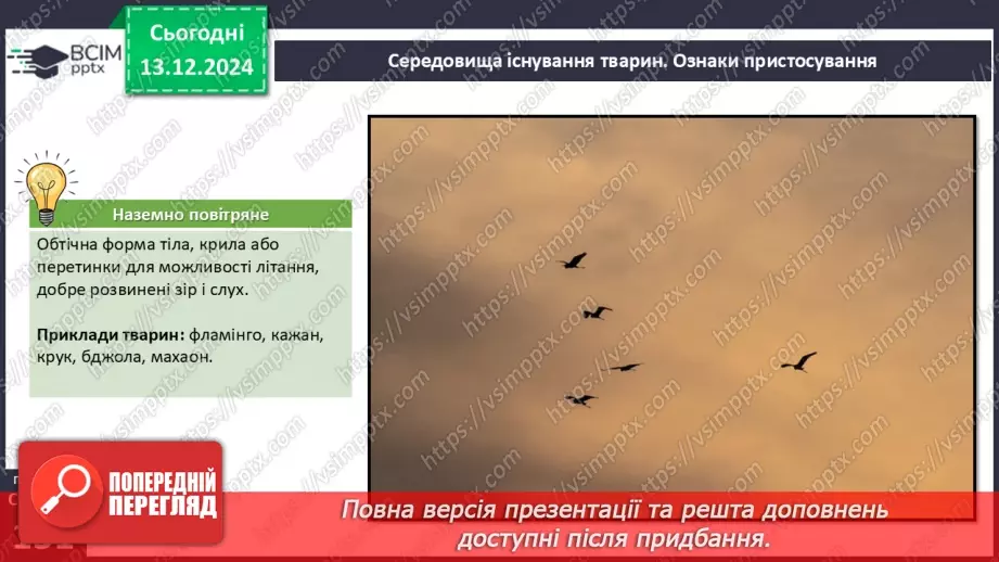 №46 - Адаптації тварин до умов середовища. Міграції12 №46 - Адаптації тварин до умов середовища. Міграції12