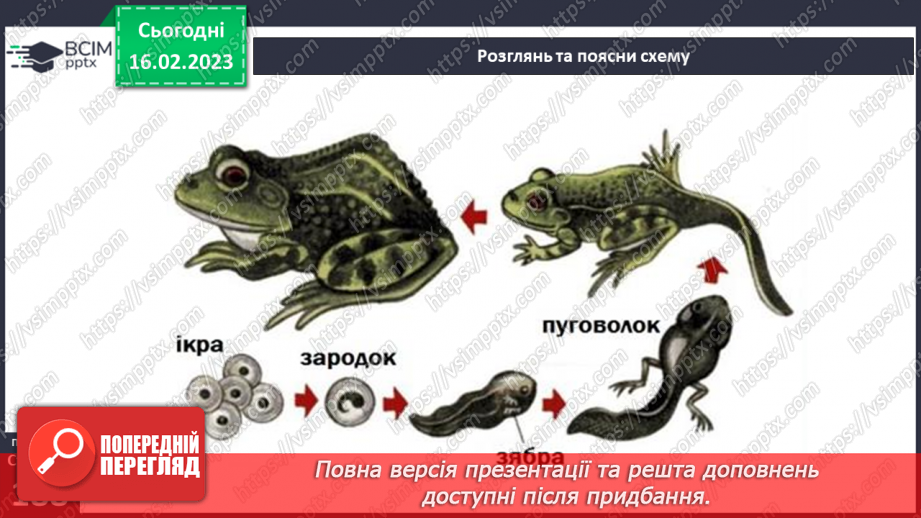 №48 - Хребетні тварини. Будова та спосіб життя хребетних тварин. Практична робота.10