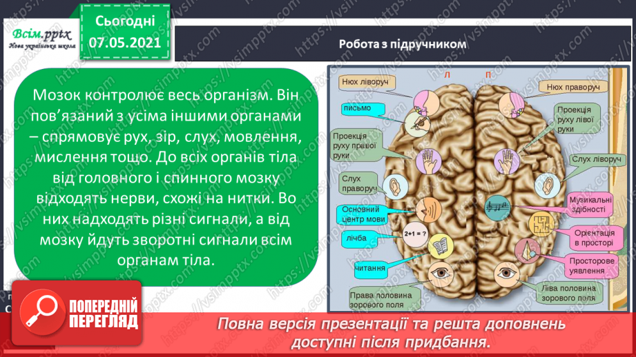 №060 - Що таке нервова система.6 №060 - Що таке нервова система.6