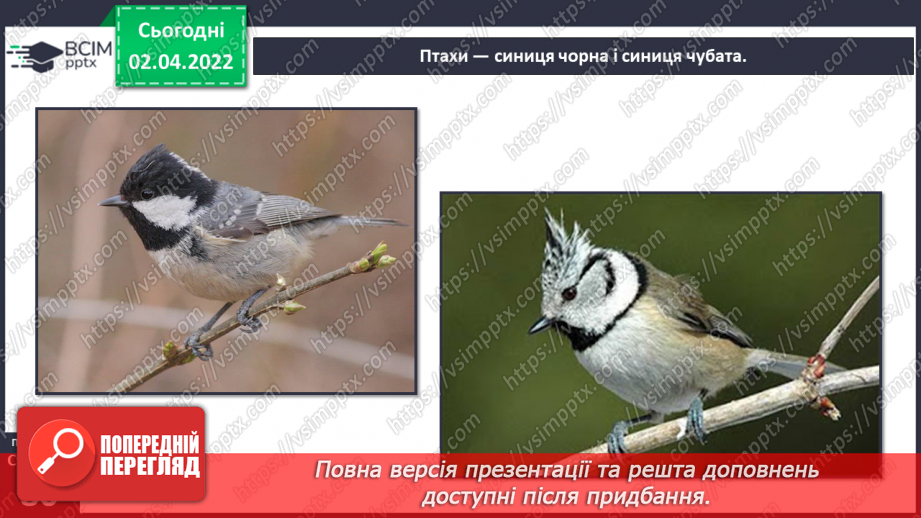 №082 - Українські Карпати18 №082 - Українські Карпати18