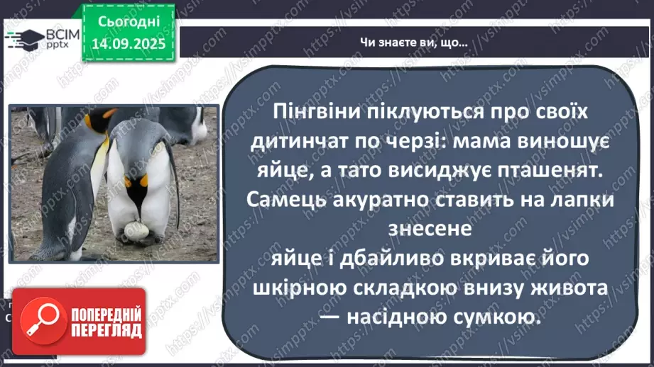 №0012 - Чому сім’я – найголовніше в нашому житті.27 №0012 - Чому сім’я – найголовніше в нашому житті.27