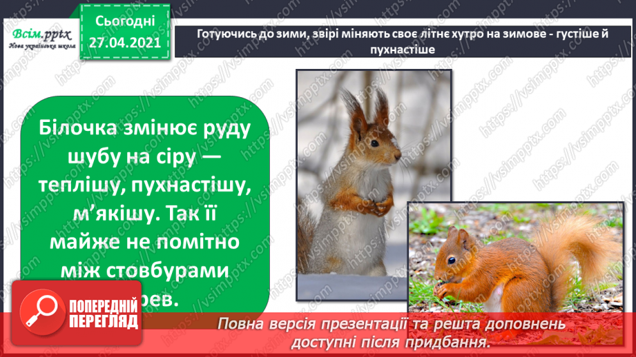 №027 - Чи всі птахи восени відлітають у теплі краї?10