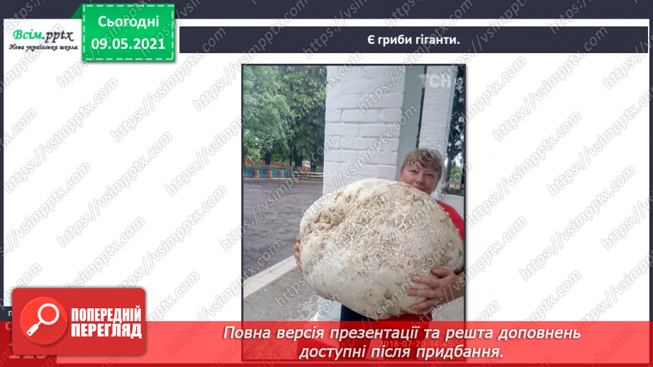 №079 - У чому загадковість світу грибів?23