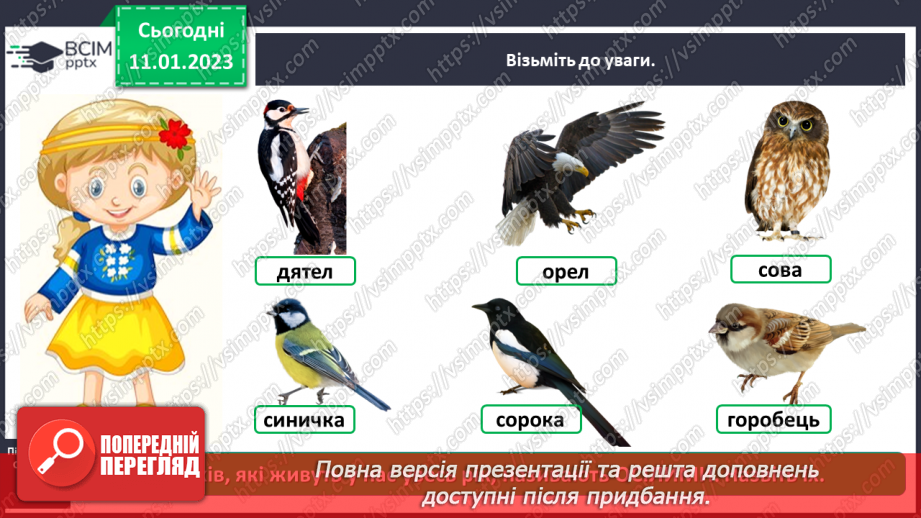 №0057 - Птахи11