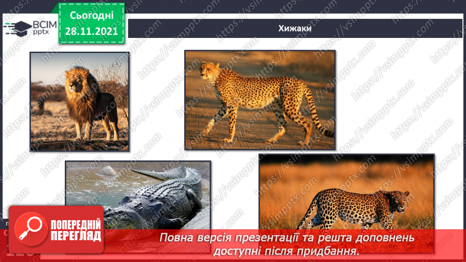 №040 - У чому виявляються особливості рослинного й тваринного світу Африки?18