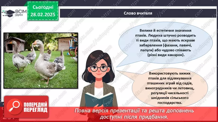 №66 - Безкільові птахи. Роль птахів у природі та житті людини.13