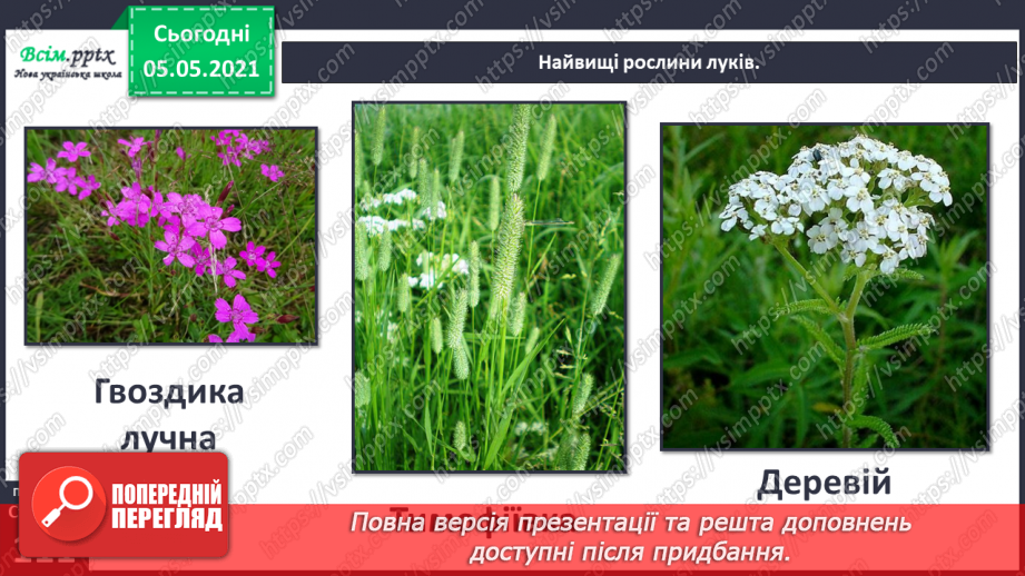 №095 - Ясніє в кожній квітці дивина.7 №095 - Ясніє в кожній квітці дивина.7